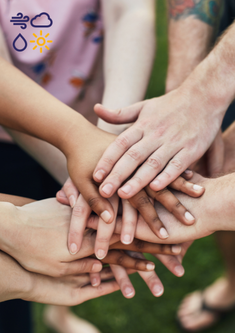 Website images (480 x 680 px)